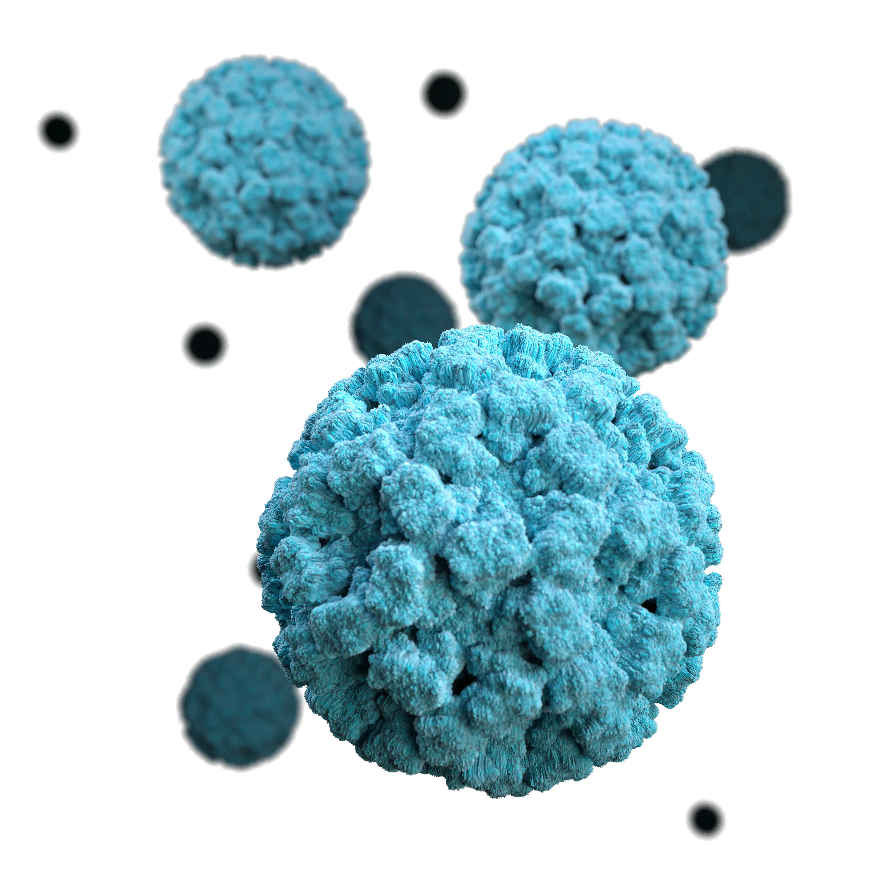 Hvad er Norovirus?